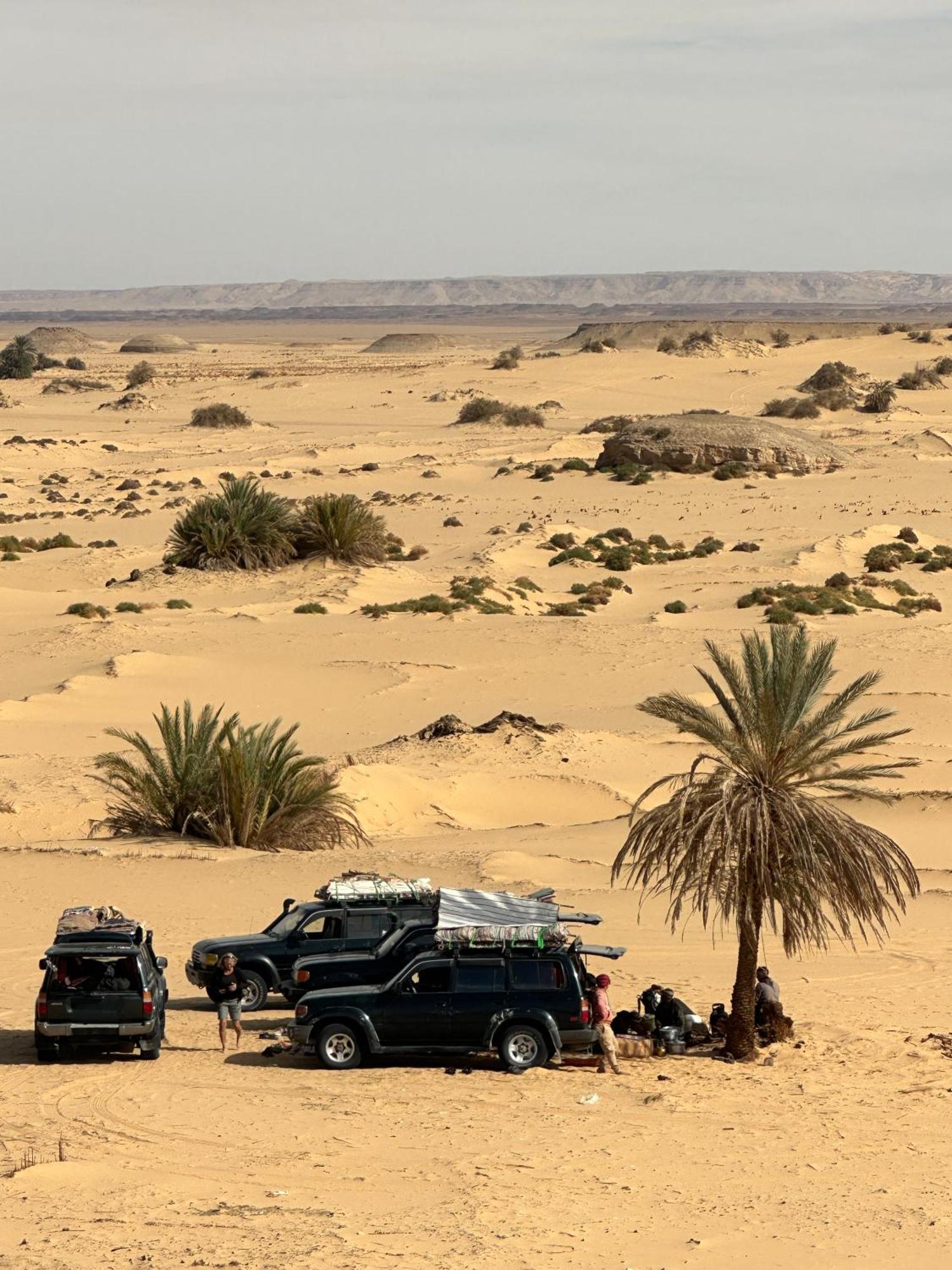Oasis Camp Bawati Exterior foto